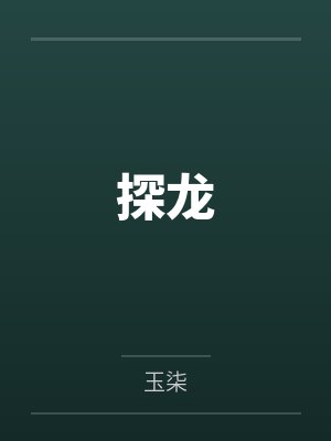 探龙
